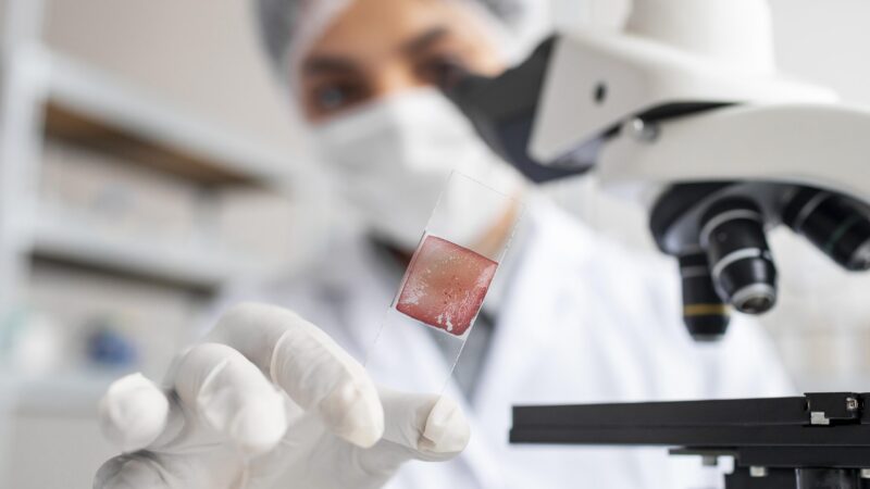 محیط کشت کشت سلول مهندسی بافت tissue engineering